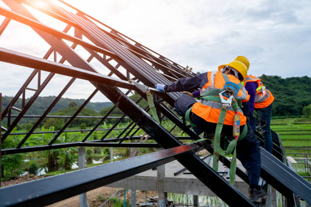 Best Roof Gutter Cleaning  in Peabody, KS